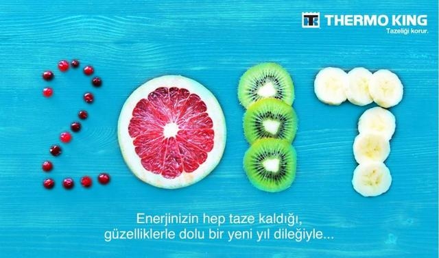 İşte Sektörün Yeni Yıl Kutlama Kartları... (37 KART) 32