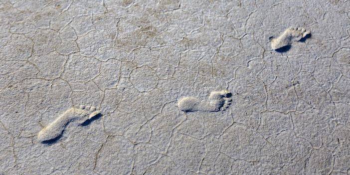 9. KÜRESEL İKLİM DEĞİŞİKLİĞİ FOTOĞRAF YARIŞMASI’NIN  KAZANANLARI BELİRLENDİ