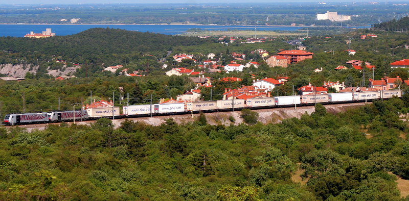 Ekol, Ulusal Şampiyon Seçildi!