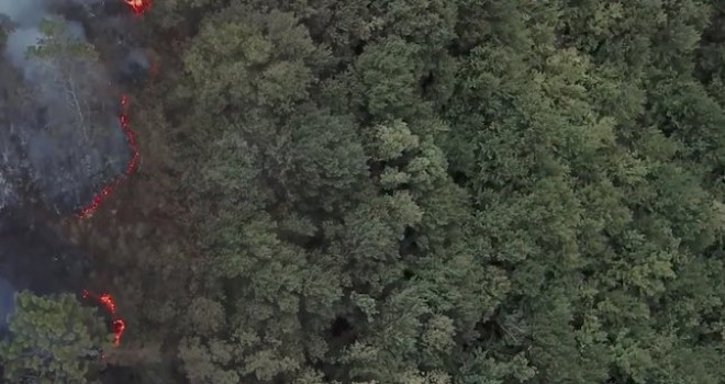 Kiğılı, 5 bin ağaçlık ‘Kiğılı Ormanı’nı doğaya kazandıracak